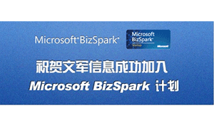 Microsoft BizSpark计划